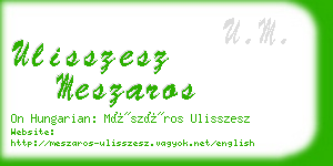 ulisszesz meszaros business card